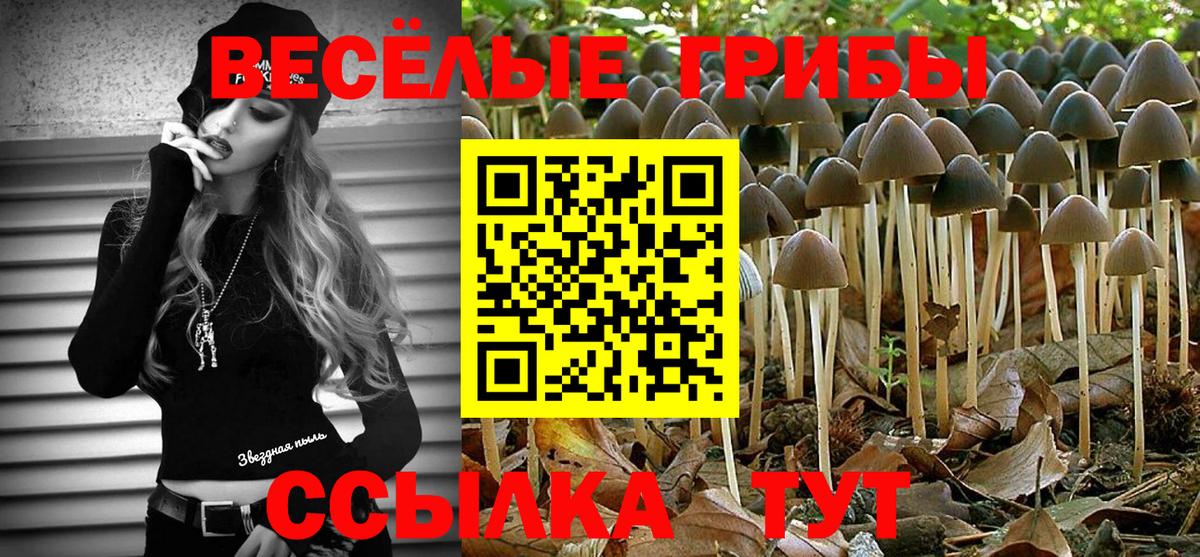 Псилоцибиновые грибы мицелий Севастополь